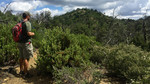 photo thumbnail #10