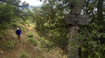 photo thumbnail #12