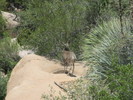 photo thumbnail #8