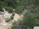photo thumbnail #9