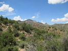 photo thumbnail #10