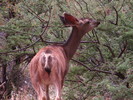 photo thumbnail #7