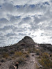 photo thumbnail #12