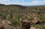 photo thumbnail #7