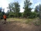photo thumbnail #1