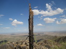 photo thumbnail #4