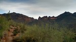 photo thumbnail #2