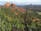 photo thumbnail #3