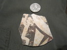 photo thumbnail #11