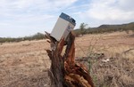 photo thumbnail #14