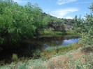 photo thumbnail #12