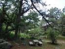 photo thumbnail #11