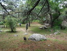 photo thumbnail #12