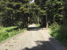 photo thumbnail #1