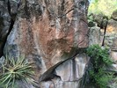 photo thumbnail #2