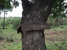 photo thumbnail #10