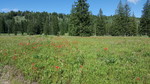 photo thumbnail #8