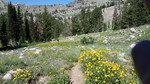 photo thumbnail #3