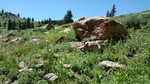 photo thumbnail #14