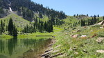 photo thumbnail #13