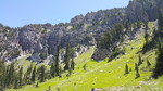 photo thumbnail #10