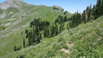 photo thumbnail #8