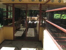 photo thumbnail #14