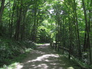 photo thumbnail #5