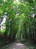 photo thumbnail #9