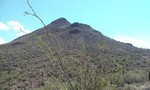 photo thumbnail #7