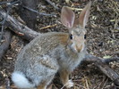 photo thumbnail #2