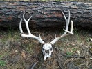 photo thumbnail #9