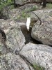 photo thumbnail #10