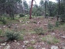 photo thumbnail #6
