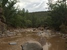 photo thumbnail #12