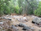 photo thumbnail #13