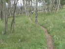 photo thumbnail #8