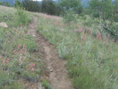 photo thumbnail #10