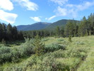 photo thumbnail #3