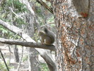 photo thumbnail #10
