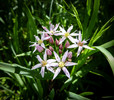photo thumbnail #14