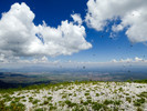 photo thumbnail #15