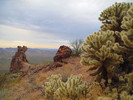 photo thumbnail #2