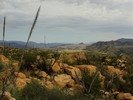 photo thumbnail #7