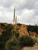 photo thumbnail #8