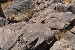 photo thumbnail #6
