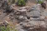 photo thumbnail #7