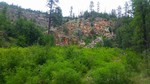 photo thumbnail #12