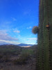 photo thumbnail #7