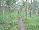 photo thumbnail #6